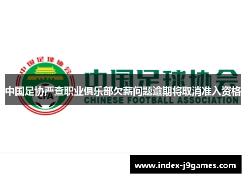 中国足协严查职业俱乐部欠薪问题逾期将取消准入资格