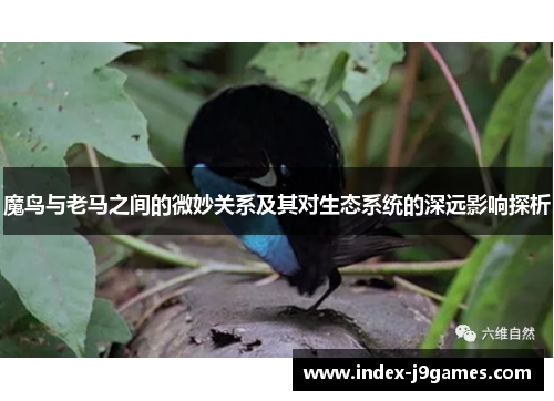 魔鸟与老马之间的微妙关系及其对生态系统的深远影响探析