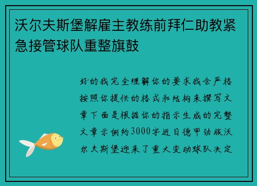 沃尔夫斯堡解雇主教练前拜仁助教紧急接管球队重整旗鼓